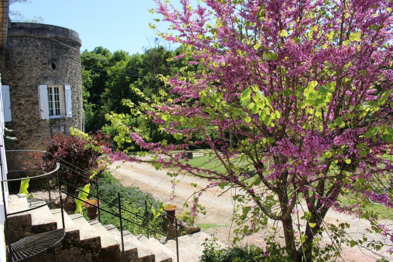 Lamothe-Landerron Ancien Haras De La Tour Bed & Breakfast エクステリア 写真