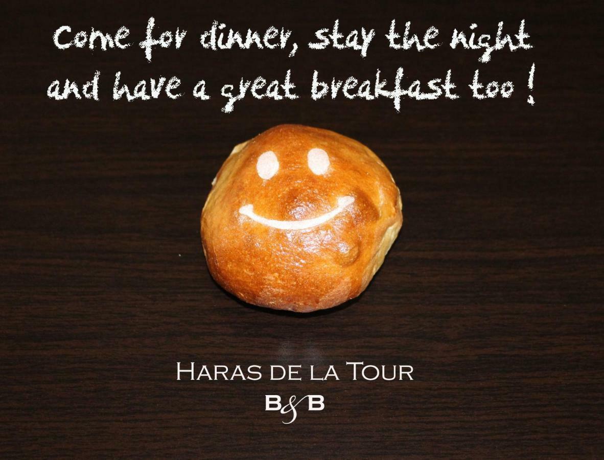 Lamothe-Landerron Ancien Haras De La Tour Bed & Breakfast エクステリア 写真